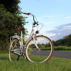Dutch Style 3 Speed City Bike Hub Gears, Lights & Rear Pedal Brake