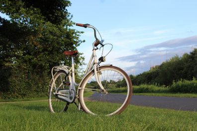 Dutch Style 3 Speed City Bike Hub Gears, Lights & Rear Pedal Brake