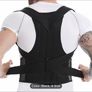 Back support Image 3