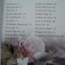 Twenty to make Wedding favours, Paperback book, Craft book Image 3