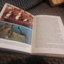 Treasures of the Armada  . Robert Stenuit Image 4