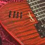 Godin Xtsa 2004 Image 4