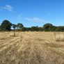 Round Hay Bales for Sale East Cork Image 4