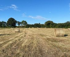 Round Hay Bales for Sale East Cork