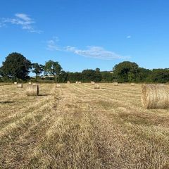 Round Hay Bales for Sale East Cork