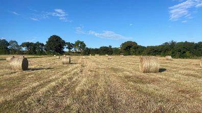 Round Hay Bales for Sale East Cork