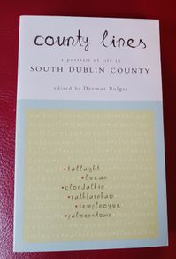 County Lines / A Portrait of Life in South Dublin County / 2006