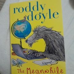 Book The Meanwhile Adventures by Roddy Doyle