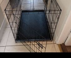 large dog cage