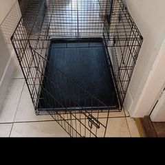 large dog cage