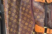 carry bag/travel suitcase bag on wheels