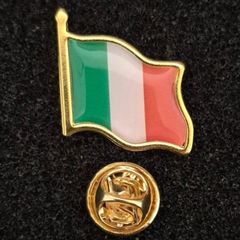 Irish tricolour flag,  pin back badge.