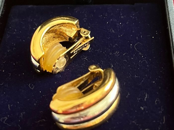 Burberry earrings