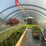Polycarbonate Greenhouses Image 5