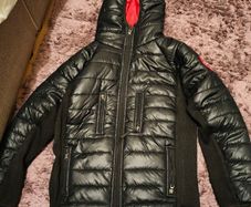 Canadian Goose