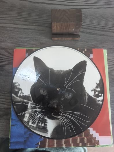 Rex Orange County - Bcos U Will Never B Free (12", Album, Ltd, Pic)