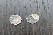silver coins