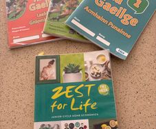 Junior cert school books