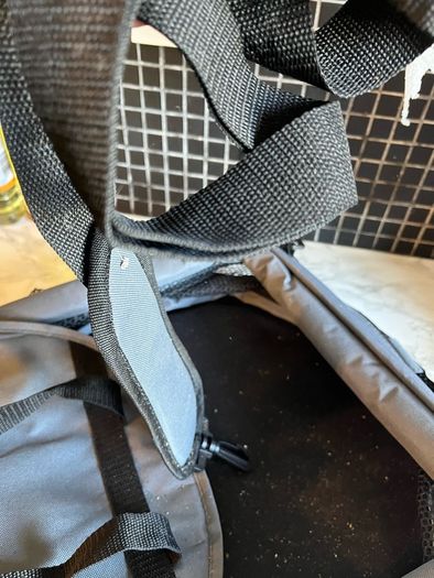 Dog car seat