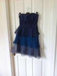 Beautiful COAST Dress
