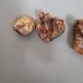 Baltic amber specimens Image 4