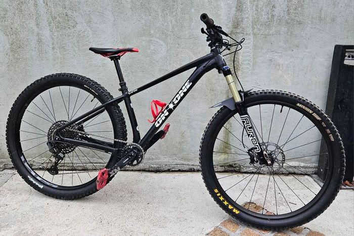 On One Scandal small 29er