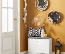Shoe Bench with Seat Cushion
