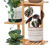 Bamboo Plant Stands Rack 6 Tiers 7 Potted -121cm Tall Plant Holder Stable for Indoor&Outdoor,Color-optional Standing Shelf & Water-Proof Organizer Storage for Patio,Garden,Corner