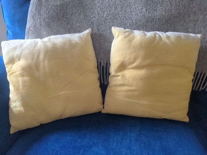 Vintage cushions