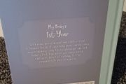 My Baby's 1st Year Book