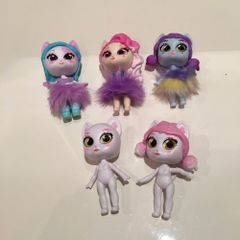 Kitten catfe dolls