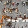 Fly Collection Image 9