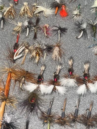 Fly Collection