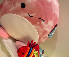 Large Squishmallow "Oshun" - Brand New Duo
