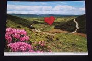 Ireland Postcard : Galtee Mountains From The Vee Road , Knockmealdown , Co. Tipperary - 1980s