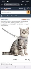 Cat harness, dog harness , rabbit harness