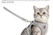 Cat harness, dog harness , rabbit harness