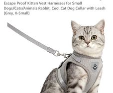 Cat harness, dog harness , rabbit harness