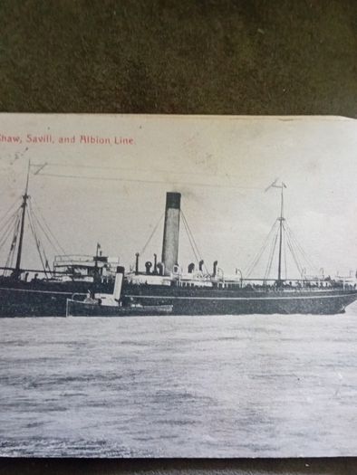 Antique postcard  SS MAMARI