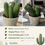Premium Indoor plants with decorative pots Image 5
