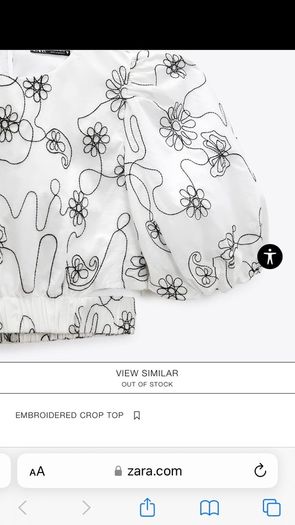 Embroidered Crop Top - Zara NEW