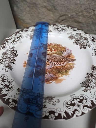 2 Burleigh ducks and fowl plates