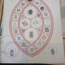 Antique  Heraldry Image 2