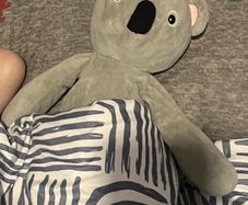teddy bear