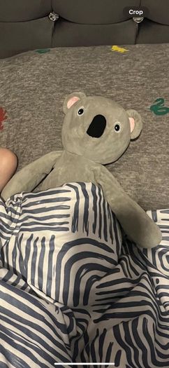 teddy bear