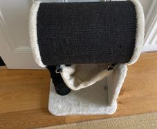 Cat scratch and play post