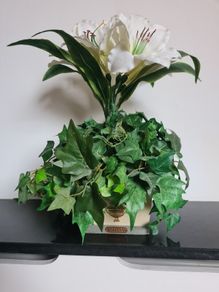 White Lily & Ivy Flower Arrangement