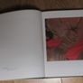 In the time of shaking Irish artists for amnesty international - Signed by Artists Image 4