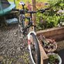 GT Aggressor 26" MTB Image 7