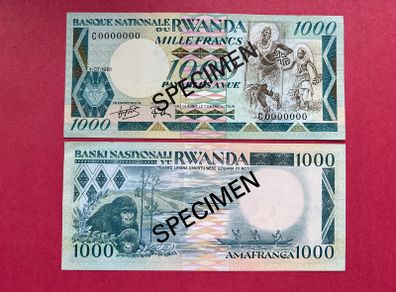 Rwanda  1,000  Francs. 1981  Specimen  Pick  17as. Scarce. ( Uncirculated )